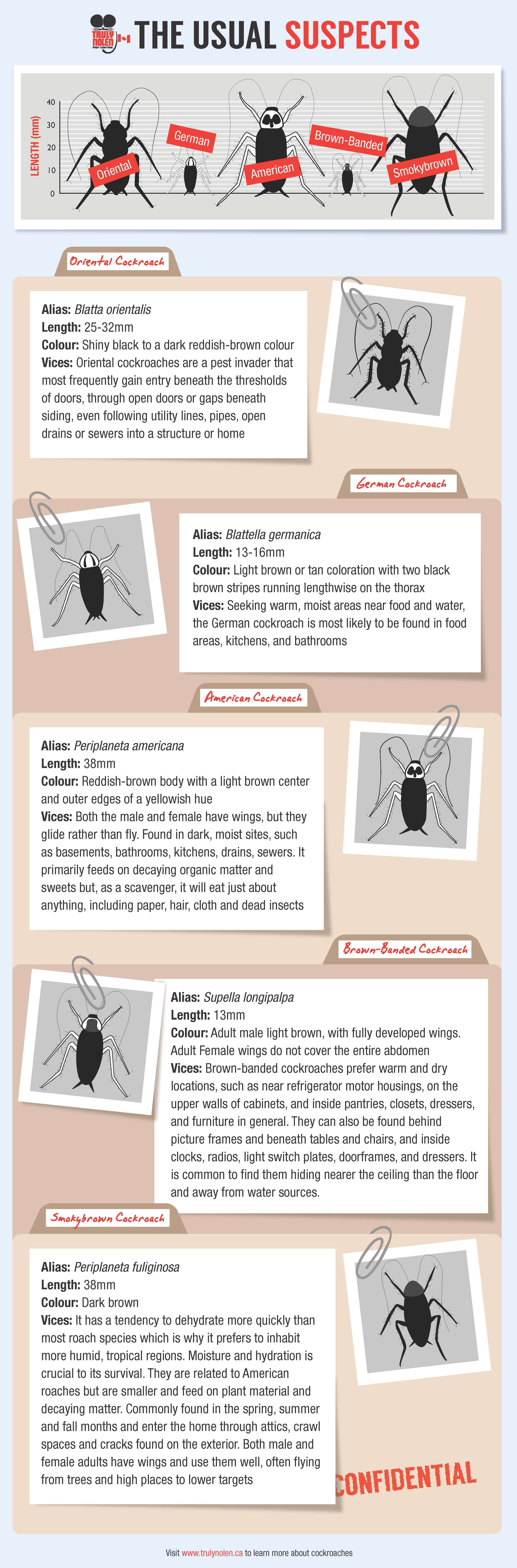 Usual Suspects Roaches Canada Infographic 1 