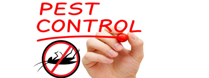 Preventive Pest Control A Year long Obligation Truly Nolen Canada