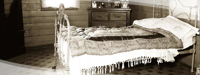  The Surprising History of Bed Bugs