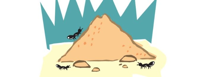 Animation of ants and ant hill