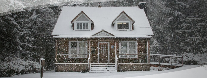 Pest Proofing Your Home This Winter