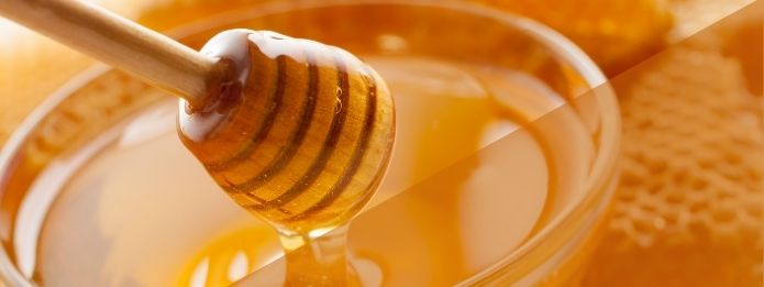 Do Bees Still Make Honey in the Winter 1