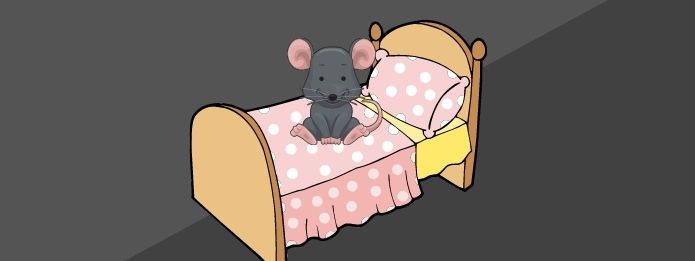 How To Keep Mice Out of Your Bed