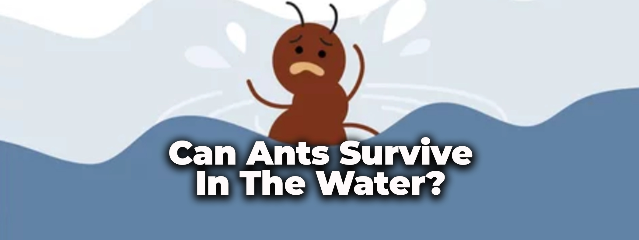 Can Ants Survive In The Water