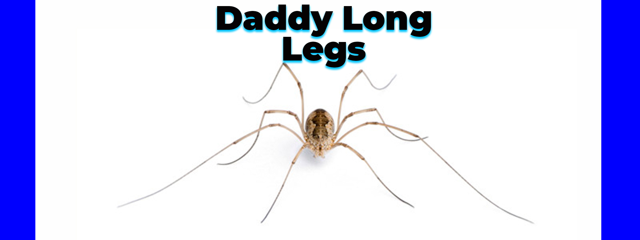 Long Legs, Daddy