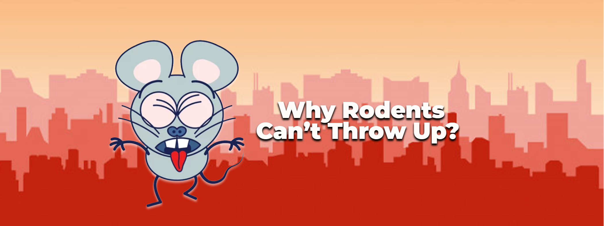 Did you Know that Rodents Cant Throw Up