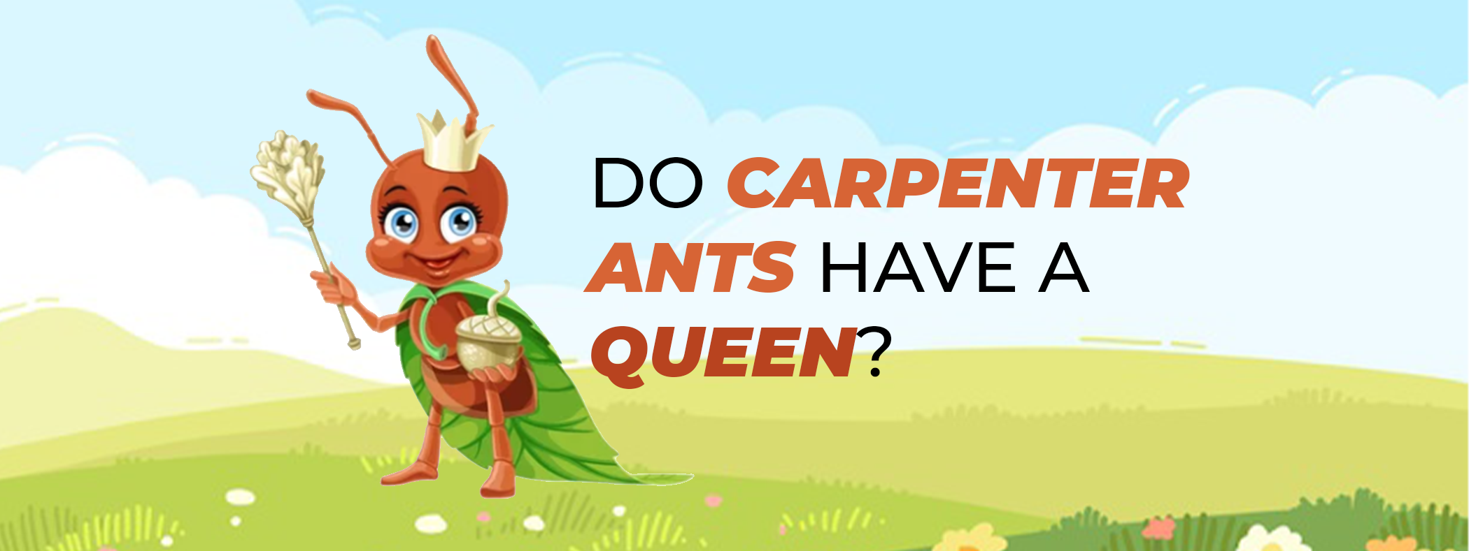 Do Carpenter Ants Have a Queen