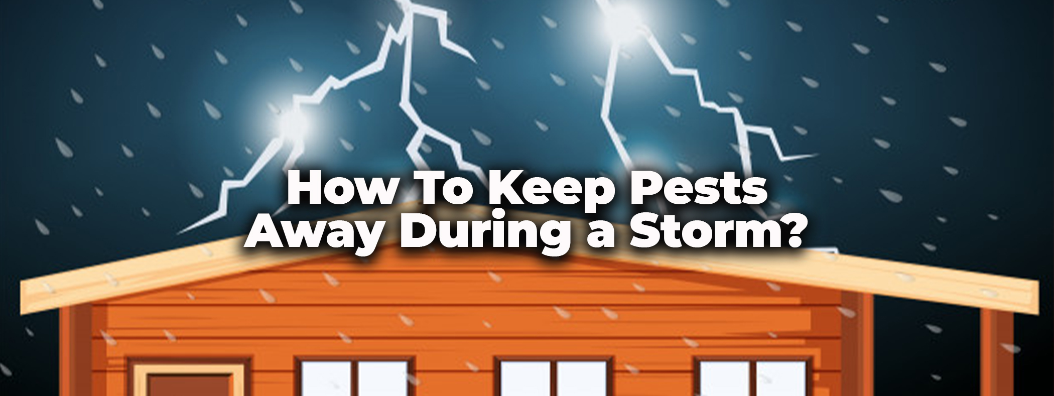 How To Keep Pests Away During a Storm