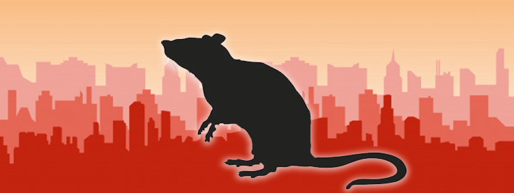 Dangers of Rodents in Your Place of Business