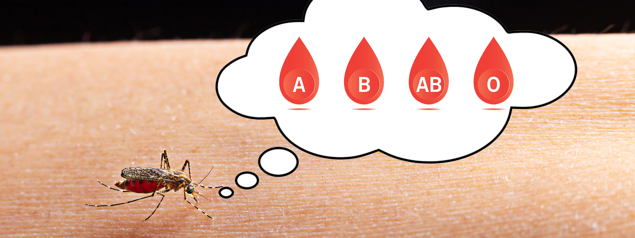 Do Mosquitoes Prefer A Certain Blood Type