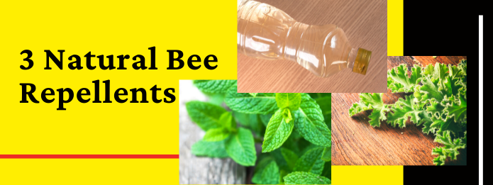 3 Natural Bee Repellents 2