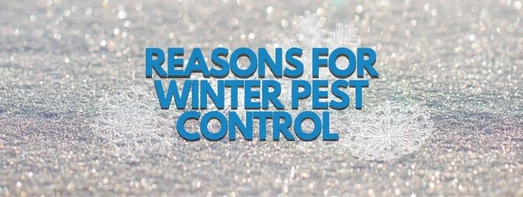 3 Reasons You Need Winter Pest Control