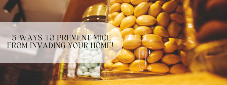 3 Simple Ways To Prevent Mice