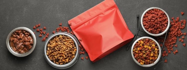 How To Keep Ants Out Of Your Pet's Food In Waterloo