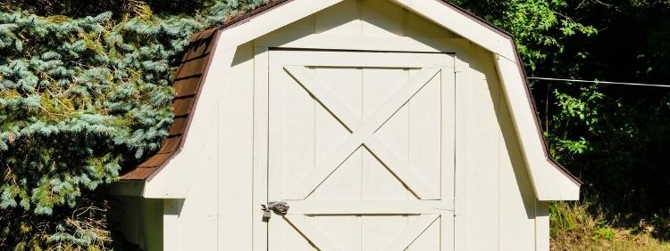 Milton Pest Control 4 Ways To Keep Mice Out Of Your Shed