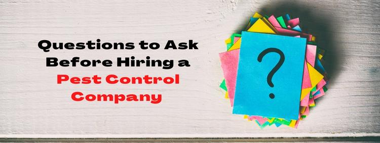 5 Questions to Ask Before Hiring a Pest Control Company for your Acton Home