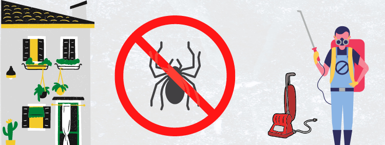 How To Prevent Spider Infestations in Apartments