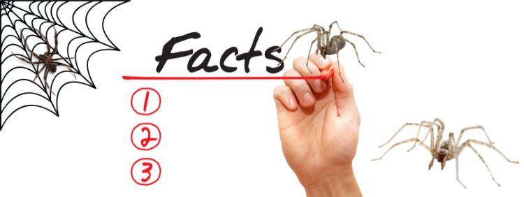 3 Creepy Facts About Spiders