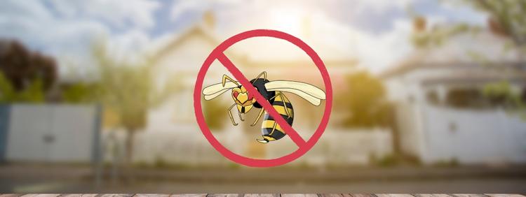 Preventing Wasps From Nesting on Commercial Properties in Waterloo