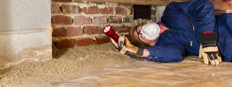 Cambridge Rodent Control Why Are Mice Attracted to Crawl Spaces