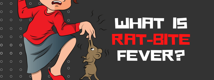 What is Rat-Bite Fever