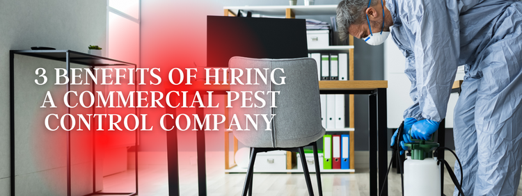 3 Benefits of Hiring a Commercial