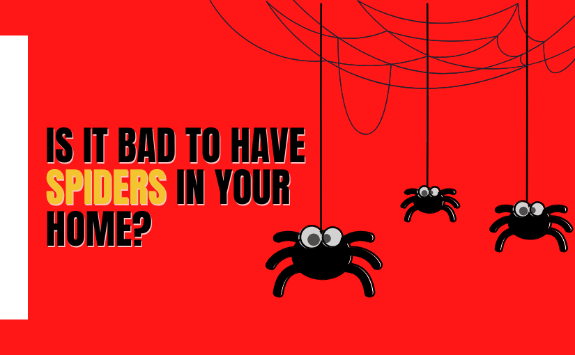 The Most Dangerous Spiders In Canada