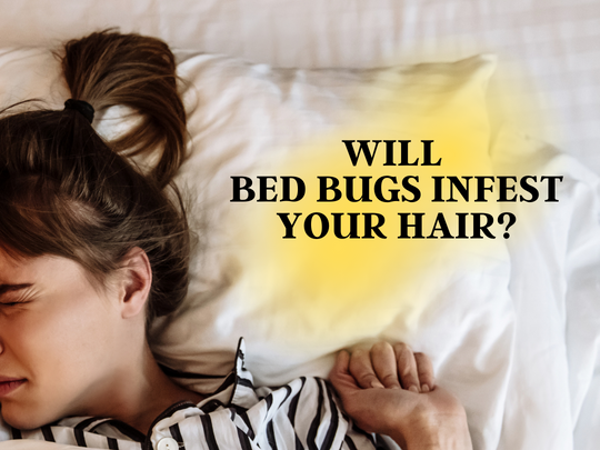 Niagara Pest Control: Will Bed Bugs Infest Your Hair?