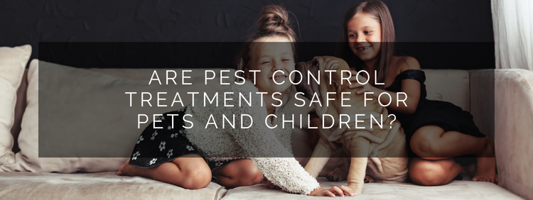 Are Pest Control Treatments Safe for Pets and Children