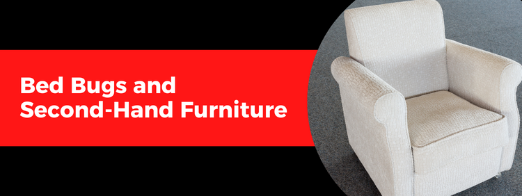 Bed Bugs and Second-Hand Furniture