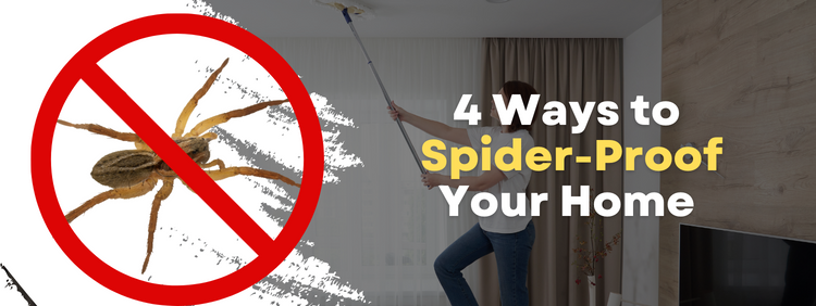 4 Ways to Spider-Proof Your Brampton Home