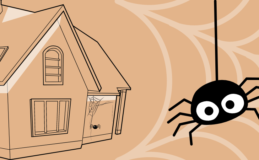 Is It Beneficial to Have Spiders in Your Home?