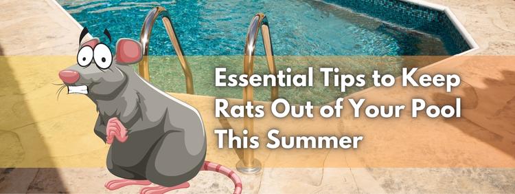Essential Tips to Keep Rats Out of Your Pool This Summer