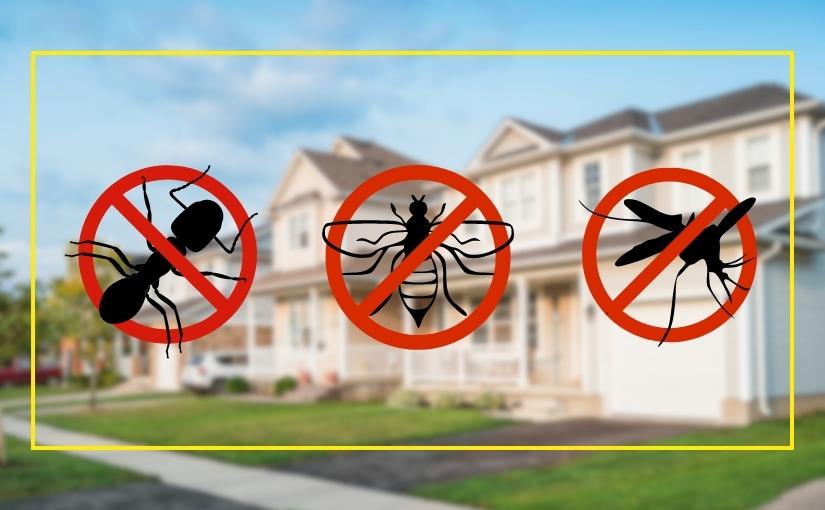 Common Summer Pests_ Identifying and Preventing Infestations in Markham Homes