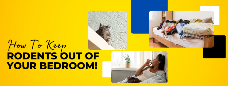 Hamilton Pest Control: Do Rodents Usually Go In Bedrooms?