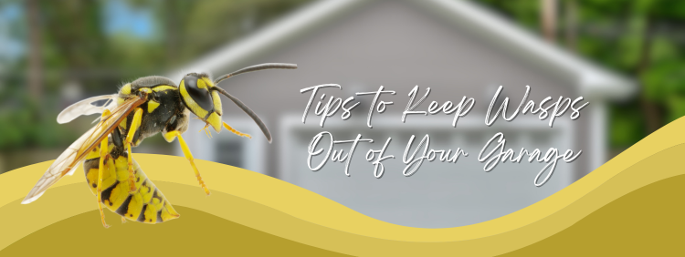 4 Tips To Keep Wasps Out of Your Garage
