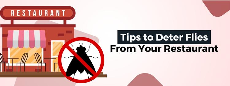 Tips to Deter Flies From Your Commercial Restaurant in Niagara