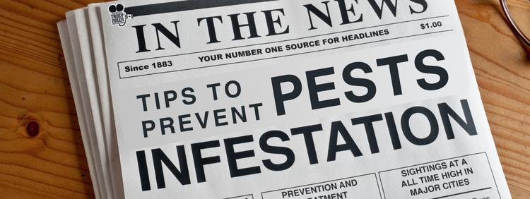 Home maintenance tips to prevent a pest infestation.