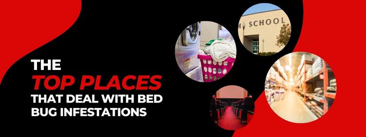 The Top Places That Deal With Bed Bug Infestations