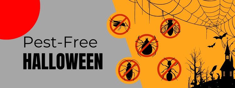 Cambridge Pest Control: Simple Tips To Enjoy a Pest-Free Halloween