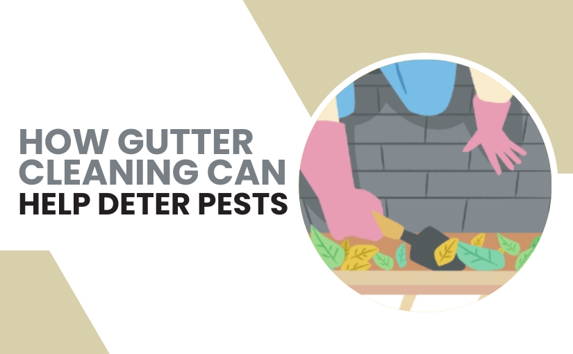 How Gutter Cleaning Can Help Deter Pests in York