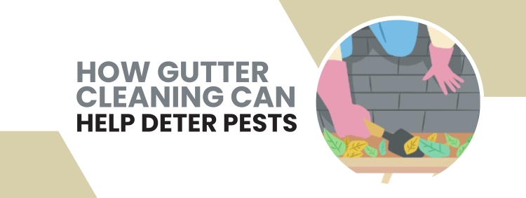 How Gutter Cleaning Can Help Deter Pests in York