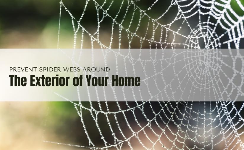 How to Prevent Spider Webs Around The Exterior of Your Home