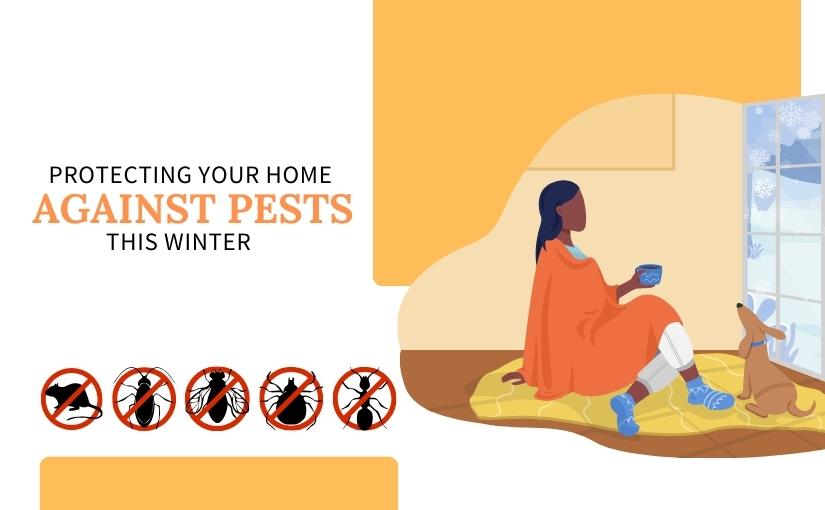 Protecting Your Waterloo Home Against Pests This Winter