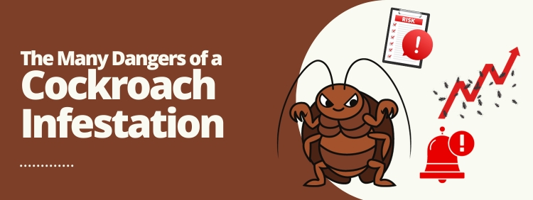 Toronto Pest Control: The Many Dangers of a Cockroach Infestation