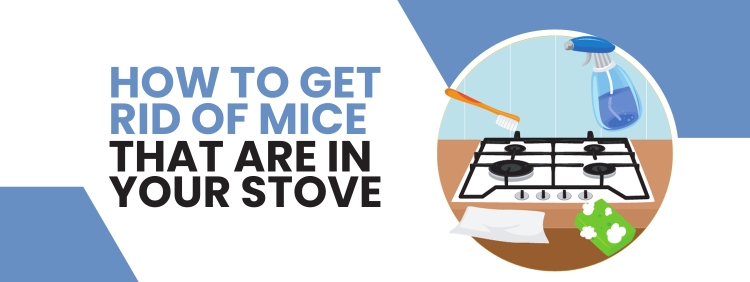 Vaughan Pest Control: Are There Mice In Your Stove?