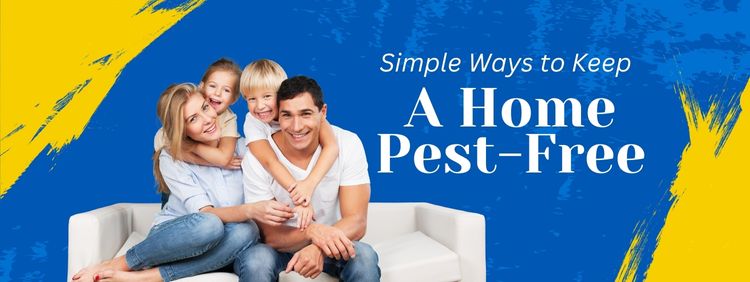4 Simple Ways to Keep Your Brampton Home Pest-Free