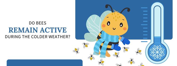 Guelph Pest Control: Do Bees Remain Active During the Colder Weather?