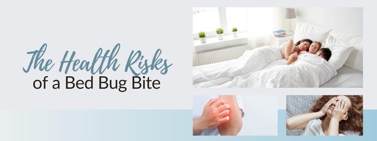 The Health Risks of a Bed Bug Bite
