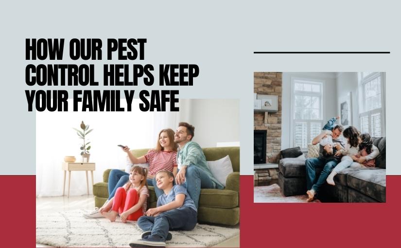 How Our Pest Control Helps Keep Your Family Safe